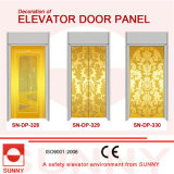 Etching Stainless Steel Door Panel for Elevator Cabin Decoration (SN-DP-328)
