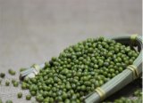 New Crop Green Mung Beans