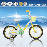 Made in China Mini Bike for Kids Jsk-Gkb-022