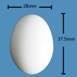 Plastic Pigeon Egg Dummy Pigeon Egg White Color Pigeon Egg