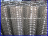 Building Material Galvanized Welded Wire Mesh