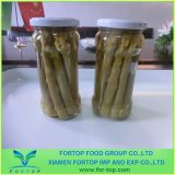 Canned Green / White Asparagus in Brine