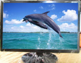 Hot! 2013 Latest Bigest and Smallest TV Cheap Flat Screen 42 (32/40/42/47/55/60/65/80/82) Inch Full-HD LED TV
