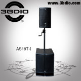 Active Speaker (AS18T-I)