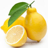 100% Natural Lemon Powder