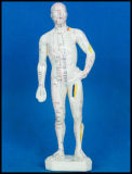 Acupuncture Human Body Model (M-1-26)