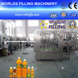 Automatic 2 in 1 Bottle Pulp Juice Filling Machinery (RGF12-6)
