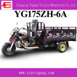 Yingang Tricycle with Advanced Coating and Robot Welding