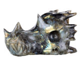 Natural Labradorite Carved Dragon Skull Carving #9o86, Crystal Healing
