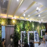 Barbershop/Beauty Salon Indoor Decoration Artificial Plants Wall (SJ)