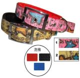Colorful Christmas Gifts Pet Products Cat Collar (JCC-1041)
