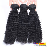 Wholesale Peruvian Virgin Human Kinky Curl Hair Weaving