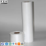 Different Kinds of BOPP Film for Printing/Packaging