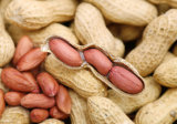 Top Quality Clean Raw Peanut in Shell