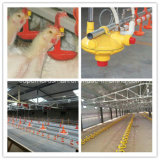 Automatic Poultry Drinking Equipment for Chicken