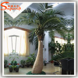 Artificial Coconut Palm Tree for Decoration