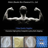 Winstrol & Testosterone Enanthate Pharmaceutical Chemical Steroid