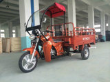 Similary Zongshen Design Cargo Tricycle with 3wheels (TR-15)