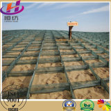 China 100% Virgin HDPE Plastic Net for Sand Fixation