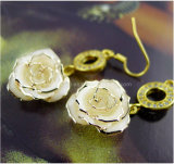 Holiday Gift- 24k Fashion Jewelry Earring (EH062)