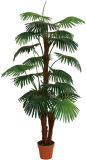 153cm 3 Branch Artificial Palm Bonsai