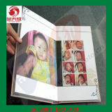 PVC Sheet for Photo Album (1-30mm)