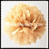 Highly Welcome Tissue Pompom for Weddings