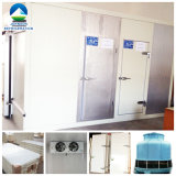Beef Cold Storage Room with Refrigeration System