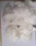 Recycle PSF Raw White Polyester Staple Fiber