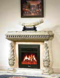 Electric Fireplace for Home Decoration and Heating (501)