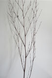 Bamboo Branch/Decoration Items/Home Decoration