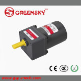 15W Single Phase Small AC Motor with Gearbox