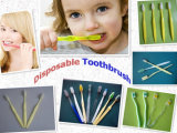 2015 High Quality Disposable Toothbrush