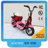 Kids Electric Bike 250W