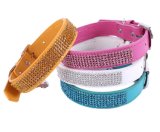 Colorful Pet Catcollar for Pet Products (JCC-1660)