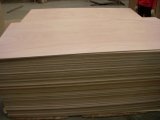 Marine Plywood for Boat Building with BS1088 (12220*2440)