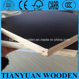 Film Shuttering Plywood/Finger Joint Board