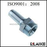 Hydraulic Metric Male Hose Fittings for China Manufacturer10512