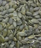 Pumpkinseed Grown Without Shell