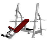 Olympic Incline Bench Free Weight Commercial Fitness/Gym Equipment with SGS