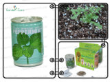 Tin Can With Herb (903006)