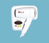 Wall Mounted Hair Dryer (RCY-67310)