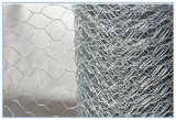 Galvanized Iron Wire Netting