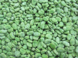 New Crops IQF Broad Beans Green Skin