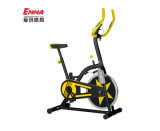 Home Use Fitness Spin Bike (S9000YB)