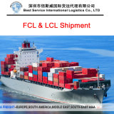 Ocean Transportation (Sea freight FCL&LCL) to South Africa - Shipping
