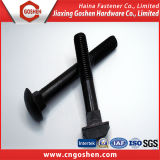 Black Oxide T-Head Bolts with Square Neck Bolts