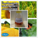 Herbicide Product Pendimethalin with High Quality