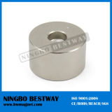 High Large Power Ring Permanent Magnet