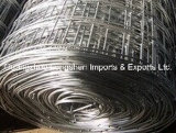 Top Quality Stainless Steel Wire Mesh